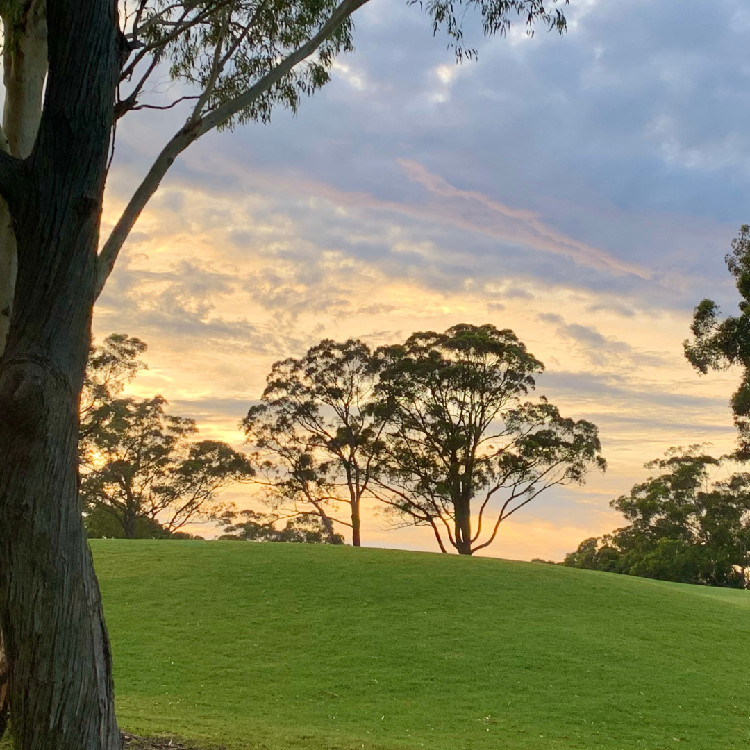 Golf Course Oakleigh Golf Course
